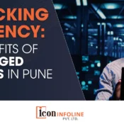 management of IT services